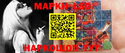 дурь Бердск