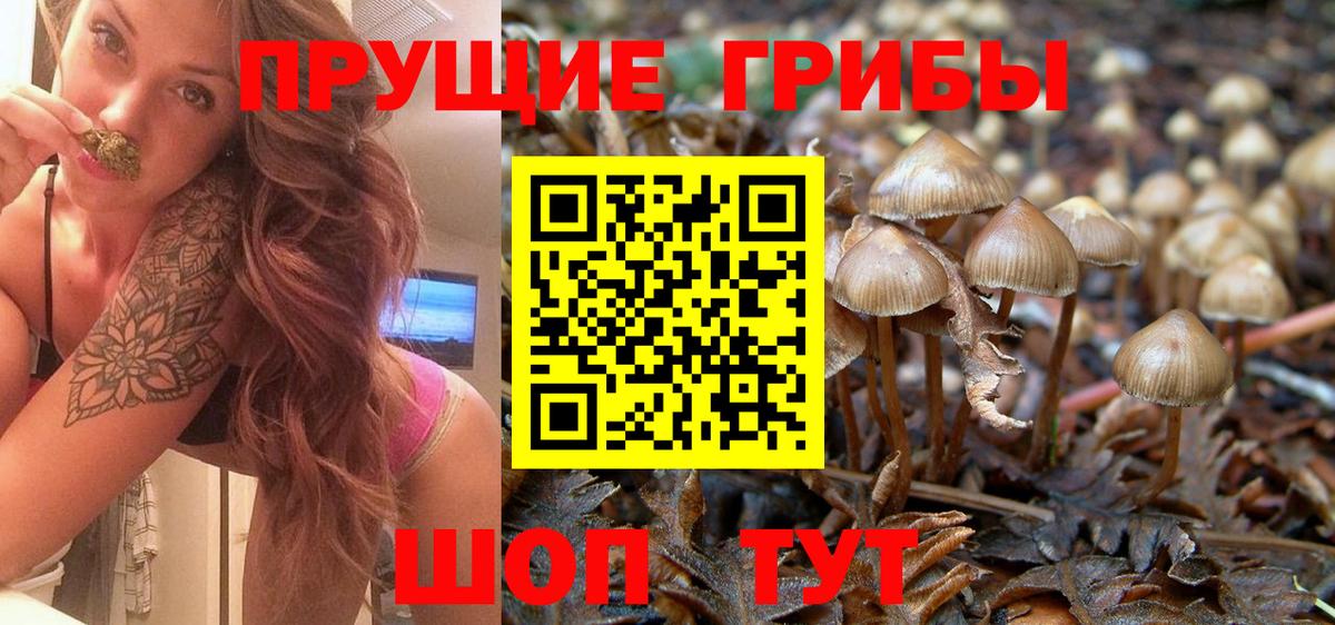 Псилоцибиновые грибы Magic Shrooms  Вход с VPN  Альметьевск 