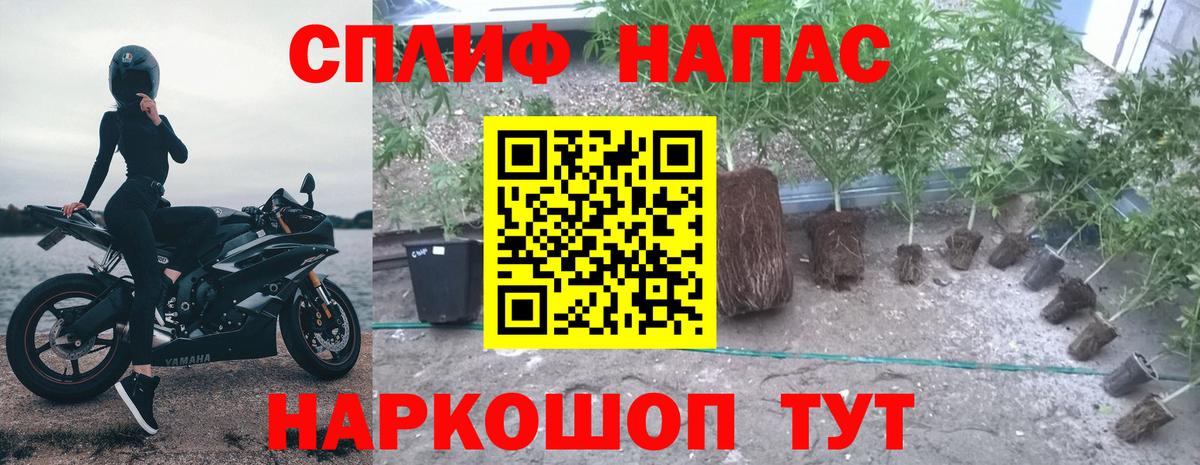 Канабис Ganja  Вход с VPN  МАРИХУАНА MAZAR  Альметьевск 